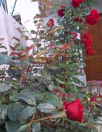 Гостевой дом Nastenka Николаевка-33